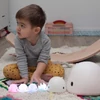 Kép 5/12 - fiú bálnás LED lámpákat rendez sorba
