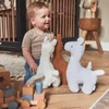 Kép 3/6 - kisfiú lámákkal játszik