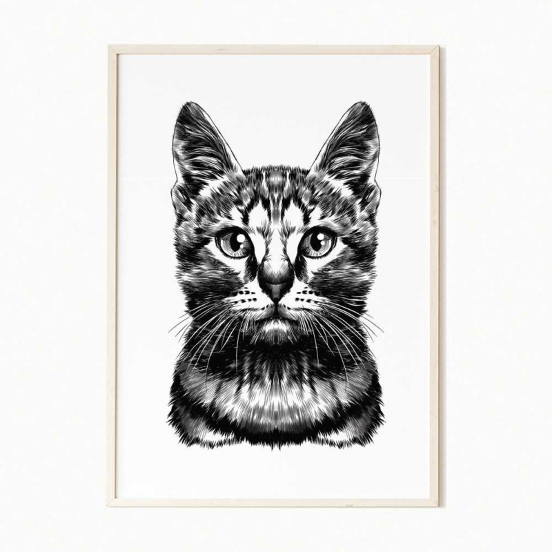 fekete-fehér cicás falikép